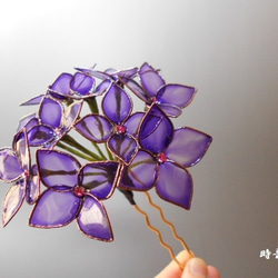 繡球花（紫羅蘭）蛾 第1張的照片