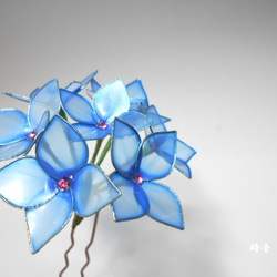 繡球花（藍靛藍）蛾 第1張的照片