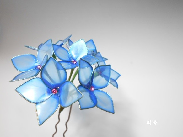 繡球花（藍靛藍）蛾 第1張的照片