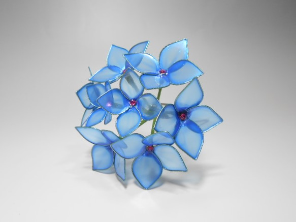 繡球花（藍靛藍）蛾 第2張的照片