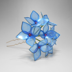 繡球花（藍靛藍）蛾 第3張的照片