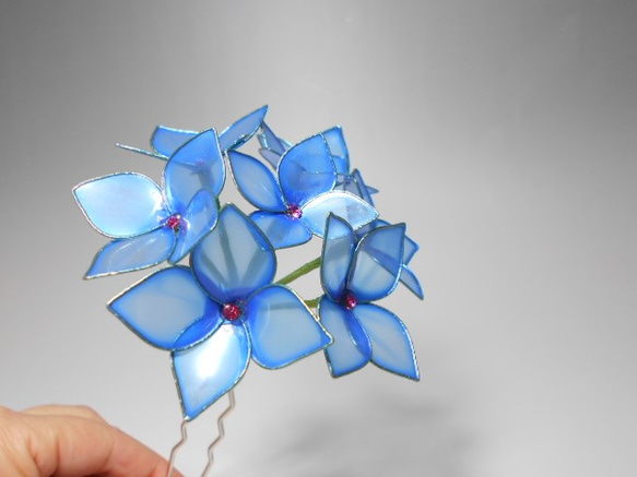 繡球花（藍靛藍）蛾 第4張的照片