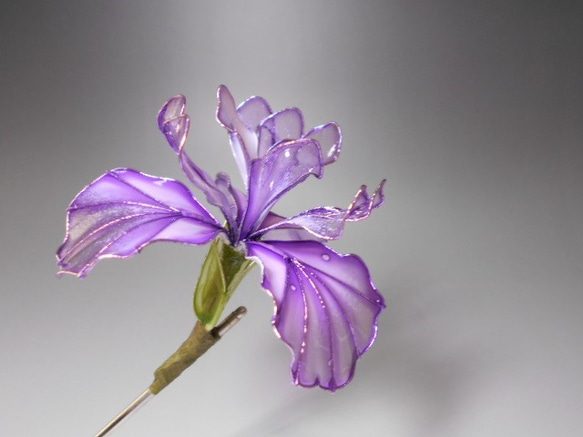 鮮花和鳶尾花 第2張的照片