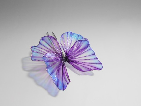 蝴蝶（藍紫） 第3張的照片