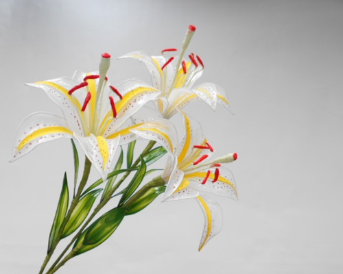 0_a61603f28d4c08fd1c456d8f1520