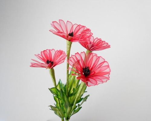 0_6a90cc7481015db3a328feb1e56e