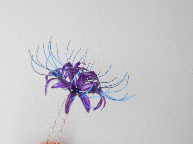 紫ヒガンバナ 簪　変わり花