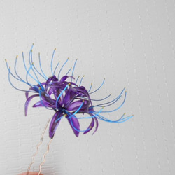 紫ヒガンバナ 簪　変わり花 1枚目の画像