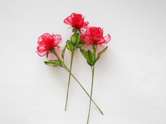 お部屋に赤薔薇　3本セット　 2枚目の画像