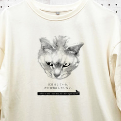 猫 ロングテール 長袖 Tシャツ カットソー アイボリー 裾ラウンド ビッグＴ ナチュラル かわいい 着やせ 2枚目の画像