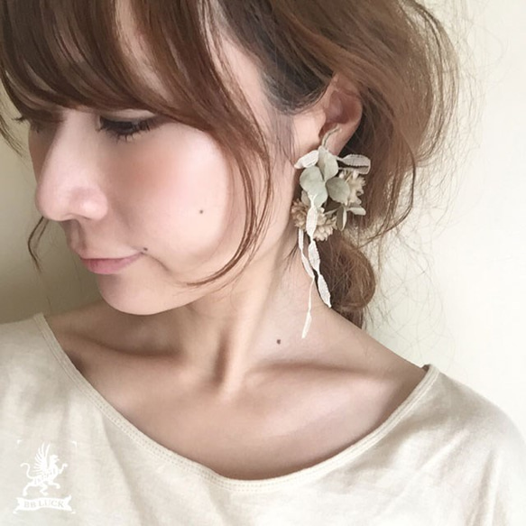 earring　【　布花ドライフラワーイヤリング ＊ シロツメクサ　】 5枚目の画像