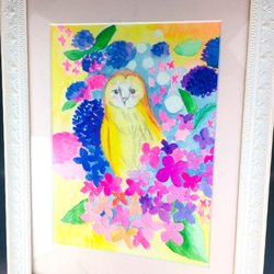 帶來幸福的貓頭鷹繡球花和其他52 第3張的照片