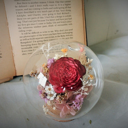【好花】紅玫瑰玻璃花球 乾燥花禮 情人節花禮 開幕(S) 第9張的照片