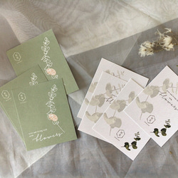 【好花】專屬設計手繪質感植物小卡(加購) 第6張的照片