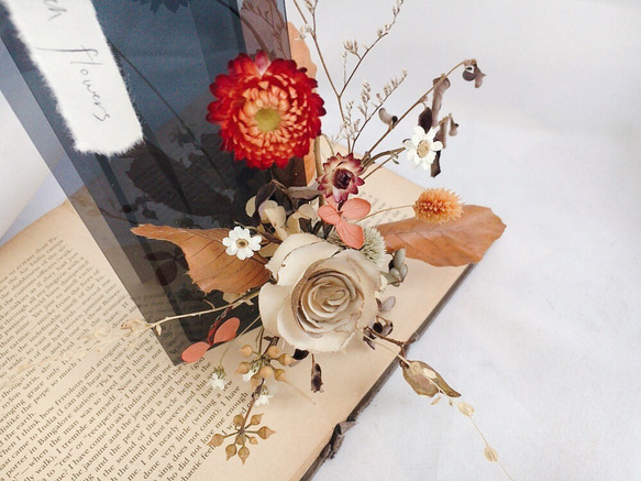 【好花】幾何壓克力乾燥玫瑰桌花開幕花禮 花瓶 第4張的照片