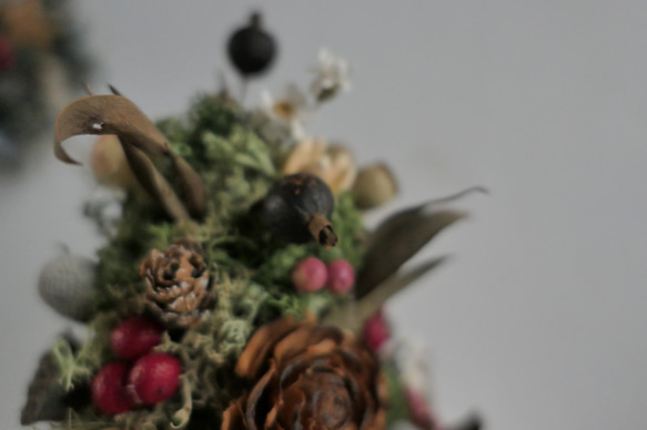 【好花】種一棵耶誕果實小樹  果實聖誕樹 第2張的照片