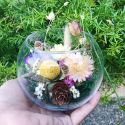【好花】微景觀造型乾燥花盆栽 乾燥花玻璃球盅 森林系乾燥花景觀 第1張的照片