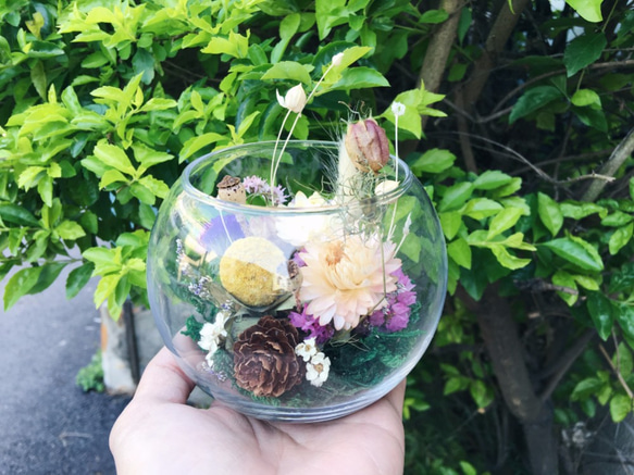 【好花】微景觀造型乾燥花盆栽 乾燥花玻璃球盅 森林系乾燥花景觀 第2張的照片