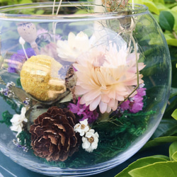 【好花】微景觀造型乾燥花盆栽 乾燥花玻璃球盅 森林系乾燥花景觀 第3張的照片