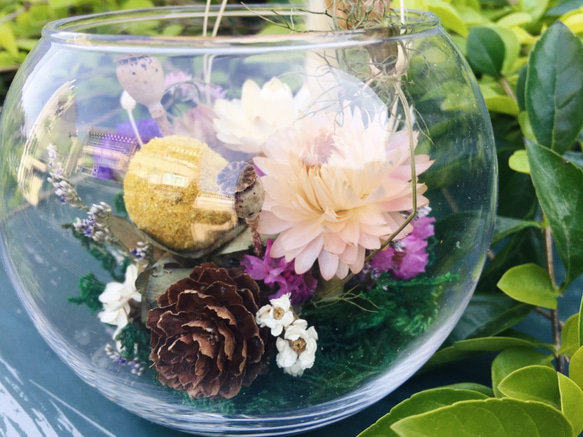 【好花】微景觀造型乾燥花盆栽 乾燥花玻璃球盅 森林系乾燥花景觀 第3張的照片