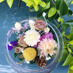 【好花】微景觀造型乾燥花盆栽 乾燥花玻璃球盅 森林系乾燥花景觀 第4張的照片