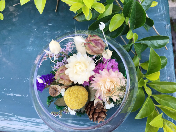 【好花】微景觀造型乾燥花盆栽 乾燥花玻璃球盅 森林系乾燥花景觀 第4張的照片