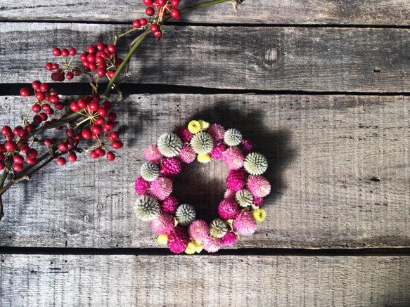 【好花】乾燥迷你聖誕花圈 莓果甜甜圈 聖誕節禮物 交換禮物 生日 開幕(XS)附盒 第1張的照片