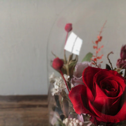 【好花】紅玫瑰不凋玻璃花盅 情人節禮物 乾燥花 母親節 開幕花禮 第6張的照片