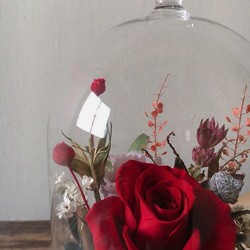 【好花】紅玫瑰不凋玻璃花盅 情人節禮物 乾燥花 母親節 開幕花禮 第8張的照片