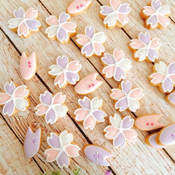さくら咲く！桜♡ アイシングクッキー 3枚目の画像