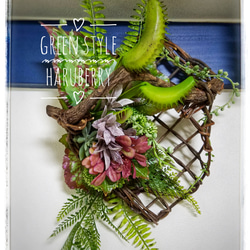 ♡WILDなディオネア(食虫植物)のグリーンアレンジメント♡一点もの 2枚目の画像