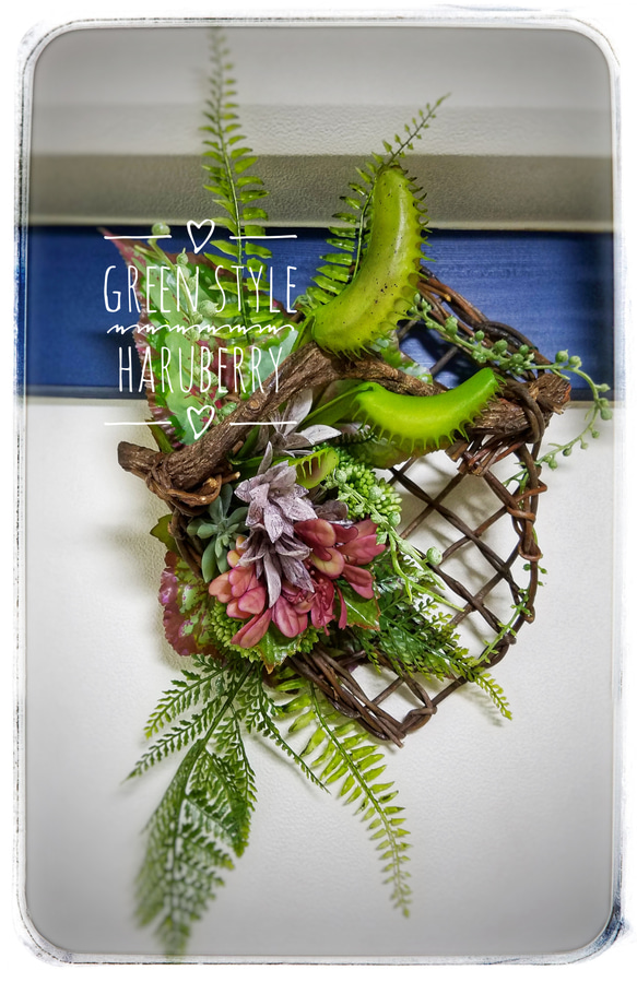 ♡WILDなディオネア(食虫植物)のグリーンアレンジメント♡一点もの 2枚目の画像