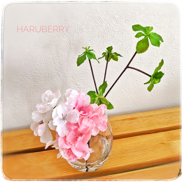 まるで本物の水♡山桜×ドウダンツツジのマジカルウォーター 5枚目の画像