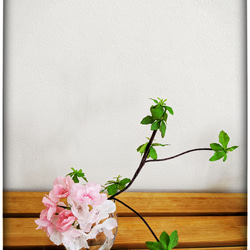 まるで本物の水♡山桜×ドウダンツツジのマジカルウォーター 6枚目の画像