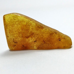 天然琥珀　虫入り　裸石（ルース） 2枚目の画像