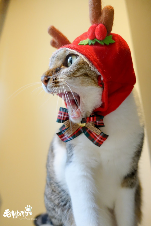 猫/小型犬ペット帽子 - クリスマスヘラジカ（制限） 2枚目の画像