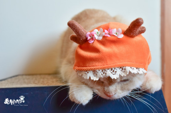貓咪/小型犬寵物帽飾 - 森林系麋鹿 第3張的照片