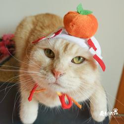 猫/小型犬ペット帽子 - 日本のお正月鏡餅キャップ（お正月限定） 4枚目の画像
