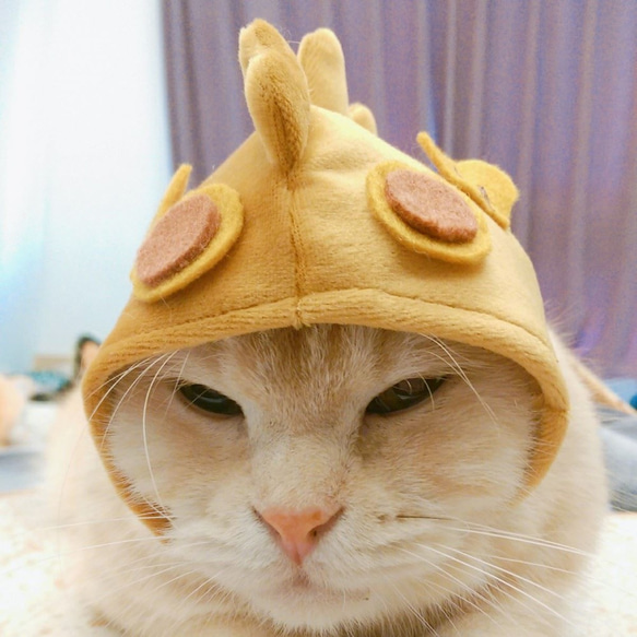 寵物帽子 - 日式鯛魚燒 第5張的照片