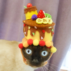 Pet Hat  - キャットドッグバースデーケーキキャップs（カスタマイズされた味） 1枚目の画像