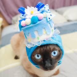 Pet Hat  - キャットドッグバースデーケーキキャップs（カスタマイズされた味） 2枚目の画像