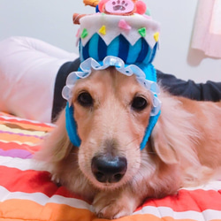 Pet Hat  - キャットドッグバースデーケーキキャップs（カスタマイズされた味） 4枚目の画像