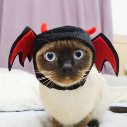 寵物帽子 - 小惡魔 第1張的照片