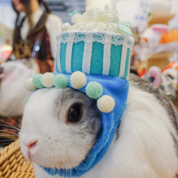 寵物帽子 - 兔子天竺鼠雪貂生日蛋糕帽ss號(客製化口味) 第2張的照片
