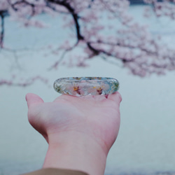 *30%送料！*京都宇治染井吉野桜のブレスレット/ドライフラワー永遠の命の花 / 3枚目の画像