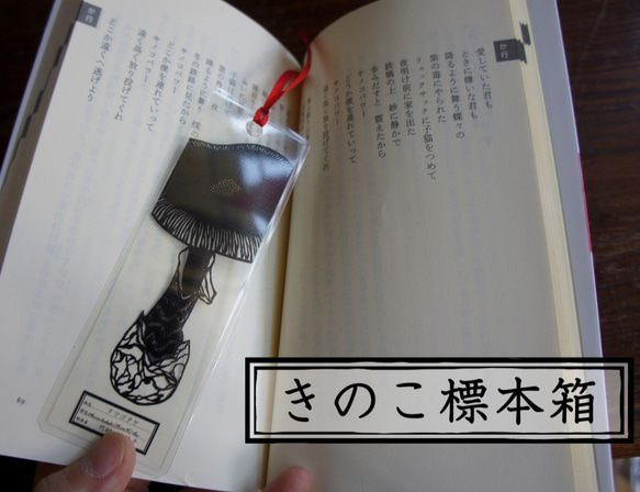 きのこ標本箱しおり　  タマゴタケ 1枚目の画像