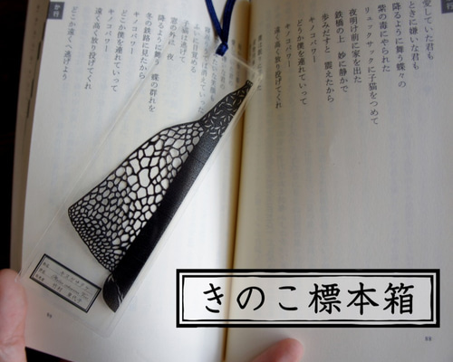 1_a495059313e91fde158591310cef