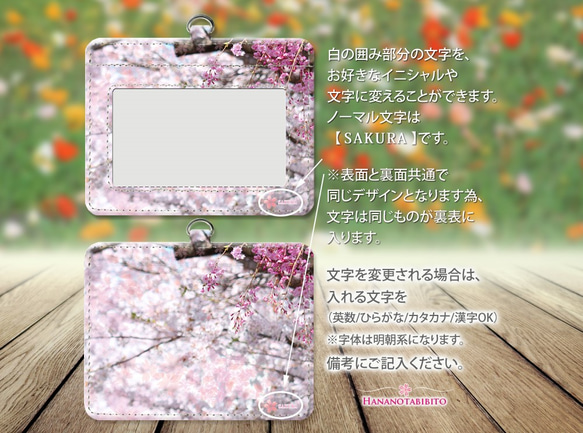 パスケース【桜満開-さくらまんかい】（名入れ可） 4枚目の画像