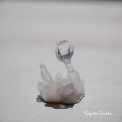 天然石セプタークォーツ(メキシコ チワワ州産)約1.1g幅約18mm王笏水晶ミニクラスター[spq-200812-06] 1枚目の画像