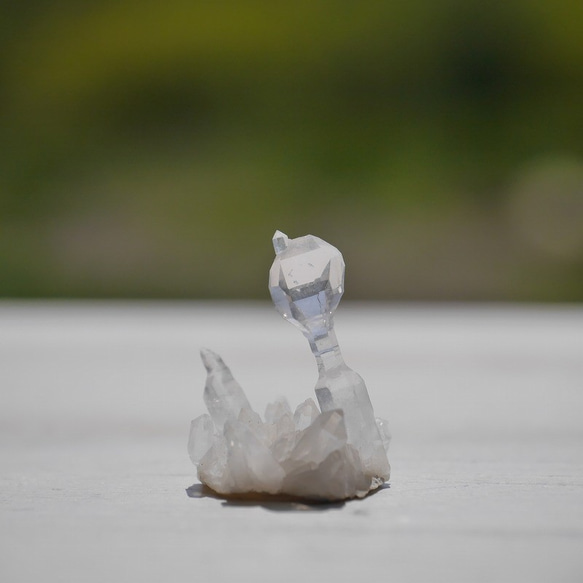 天然石セプタークォーツ(メキシコ チワワ州産)約1.1g幅約18mm王笏水晶ミニクラスター[spq-200812-06] 2枚目の画像